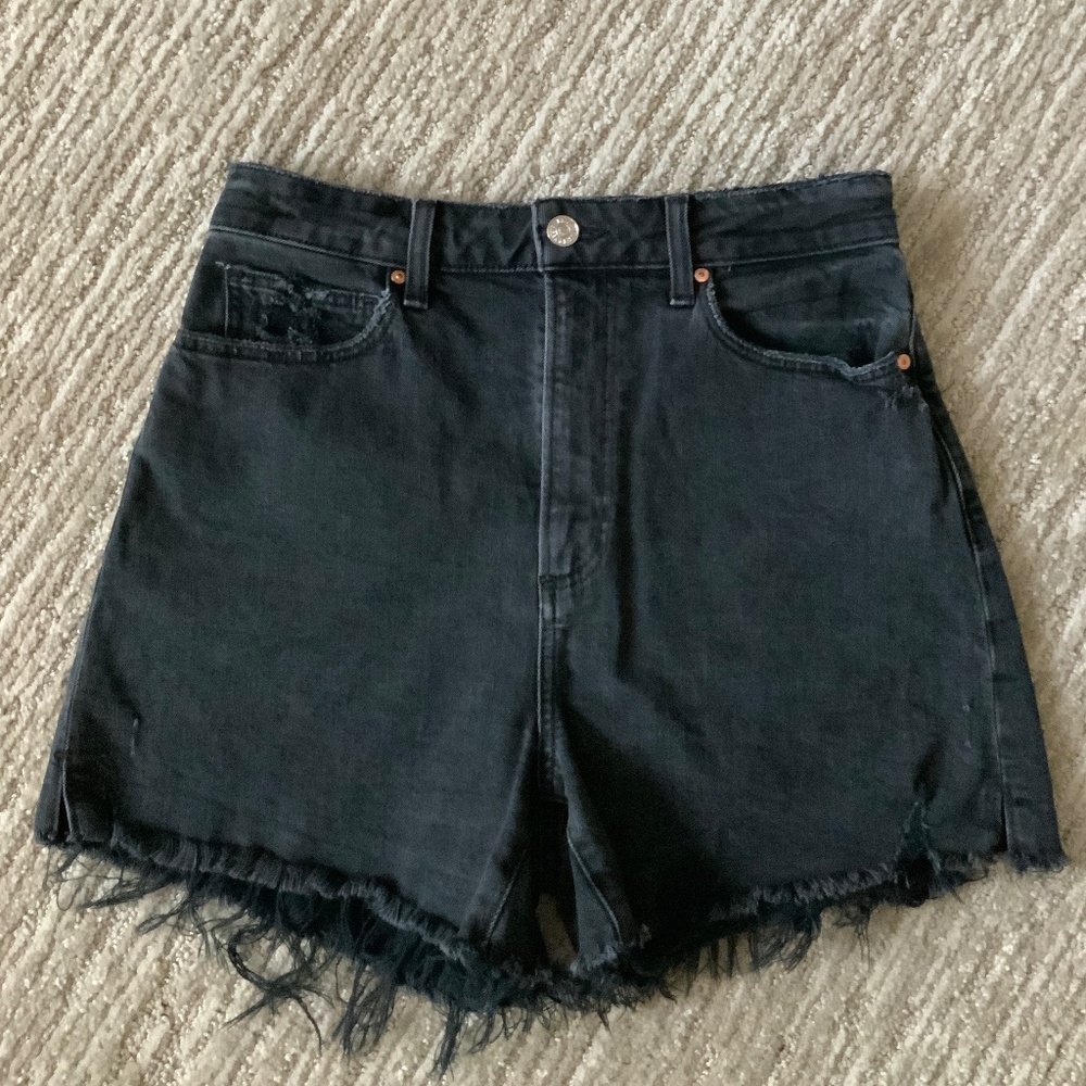 Paige Dani High Waisted Short 27